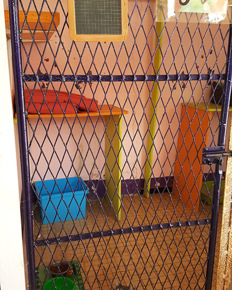 Pension chat Vendée, Le Domaine du Chigny