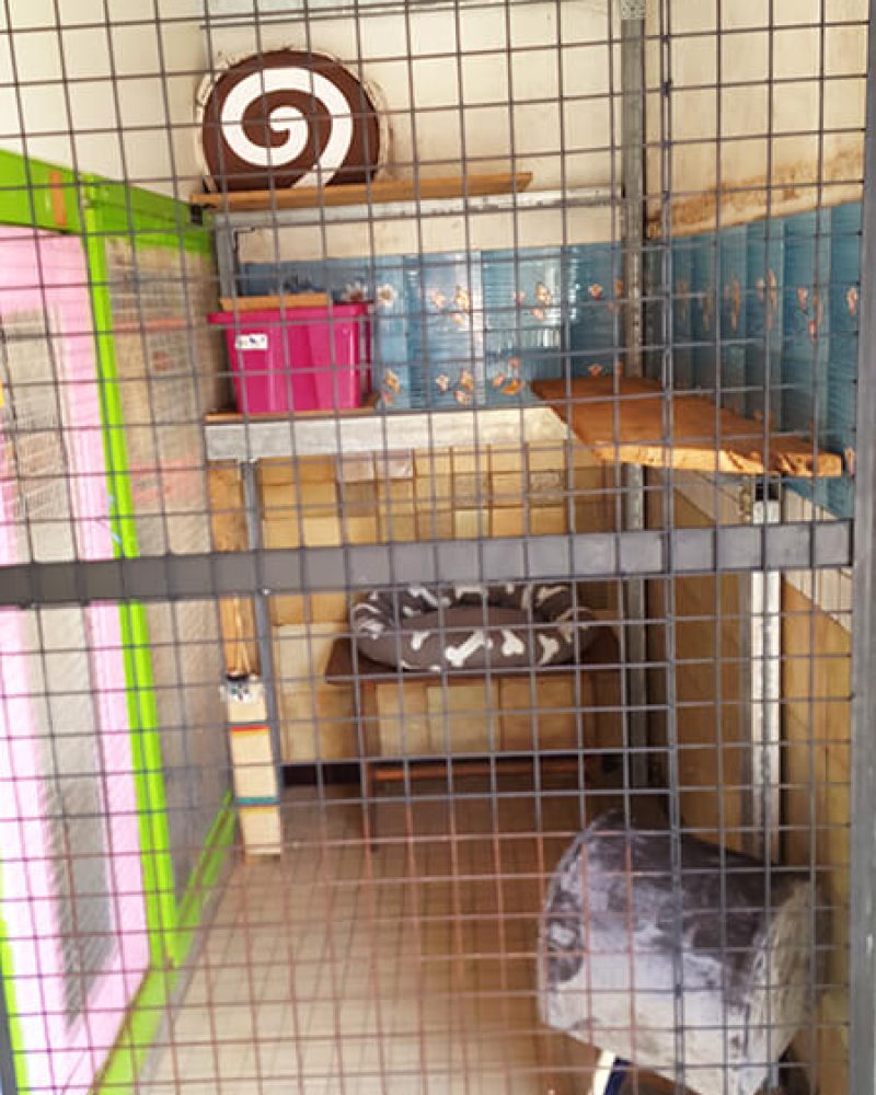 Pension chat Vendée, Le Domaine du Chigny